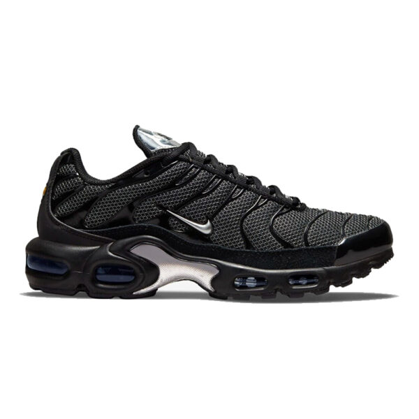 Nike Air Max Plus "Black Silver"