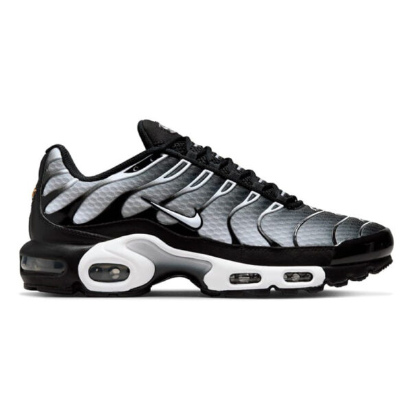 Nike Air Max Plus "Black/Metallic"